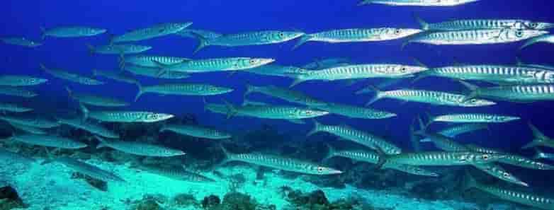 Thumbnail 12 Thumbnail 12