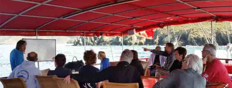 Thumbnail 13 Thumbnail 13