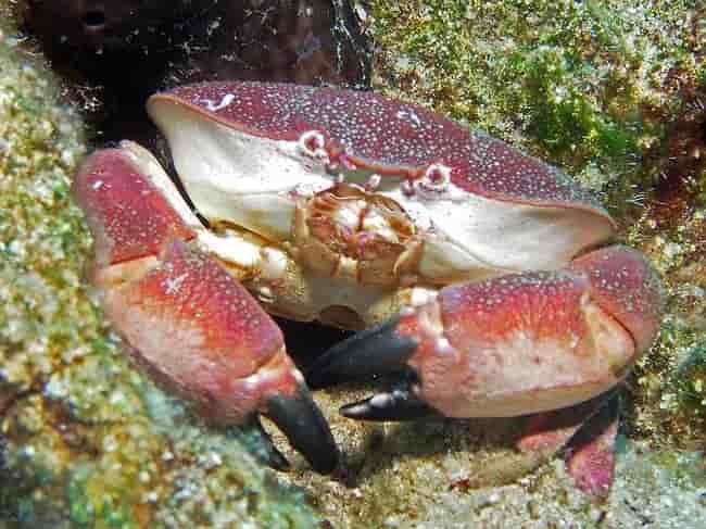 Thumbnail 14 Thumbnail 14