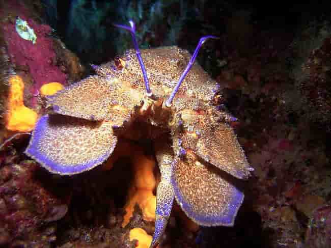 Thumbnail 17 Thumbnail 17