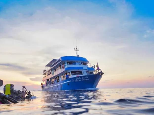 The Smiling Seahorse The Smiling Seahorse