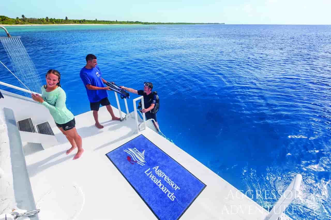 Thumbnail 17 Thumbnail 17