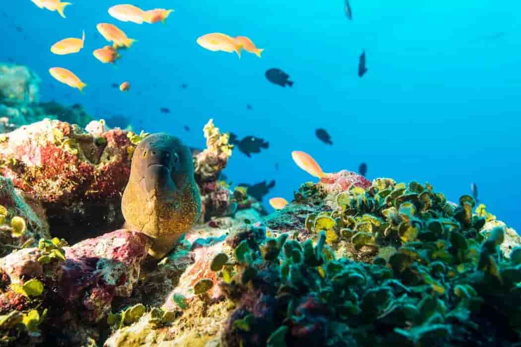 Thumbnail 2 Thumbnail 2