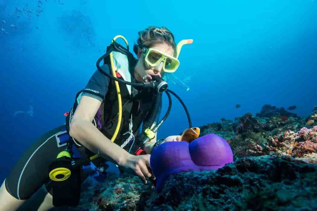 Thumbnail 3 Thumbnail 3