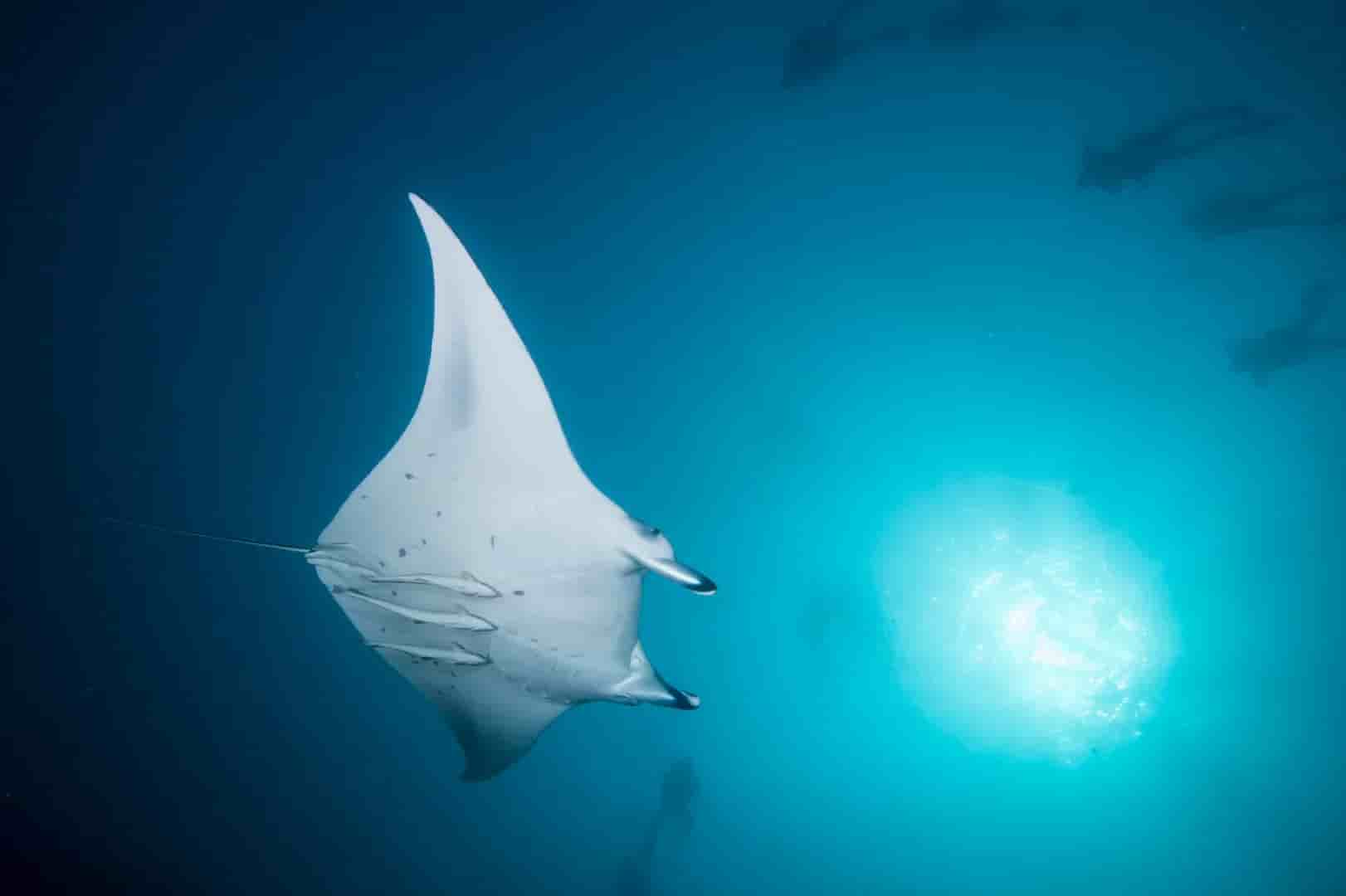 Thumbnail 7 Thumbnail 7