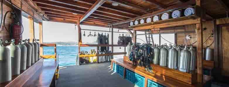 Thumbnail 13 Thumbnail 13