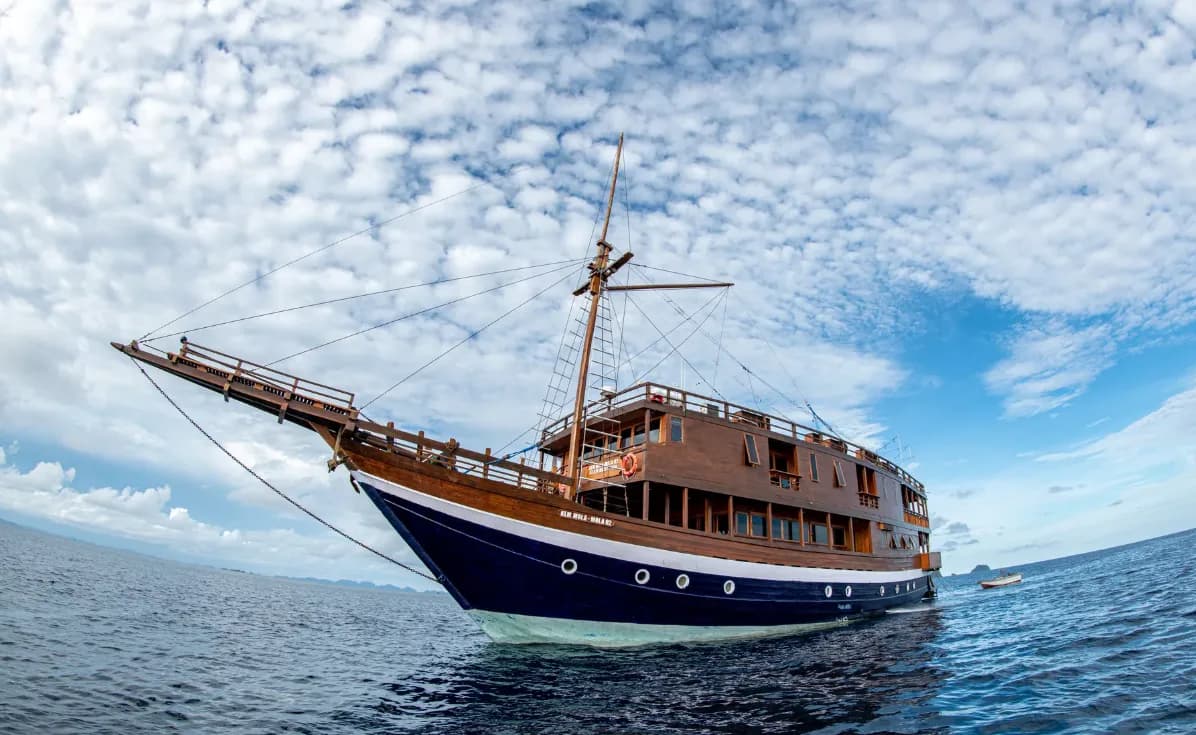 Mola Mola 2 - image Mola Mola 2 - image