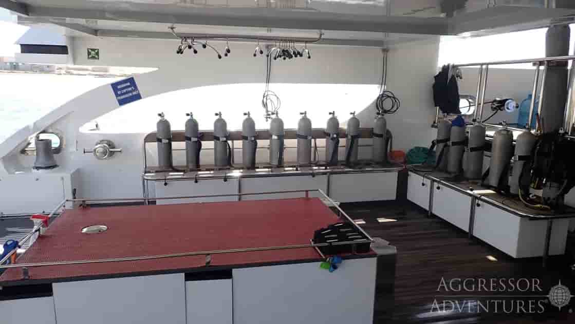 Thumbnail 4 Thumbnail 4