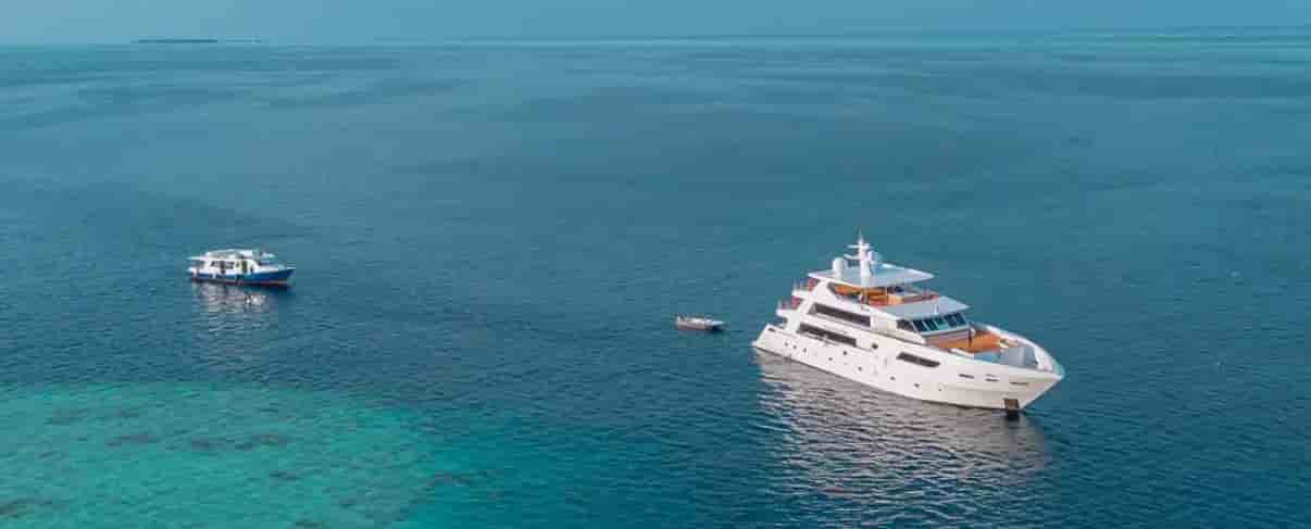 Thumbnail 4 Thumbnail 4