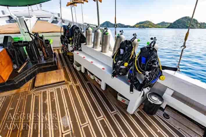 Thumbnail 11 Thumbnail 11