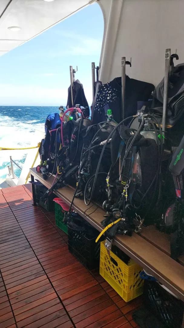 Gear neatly prepared