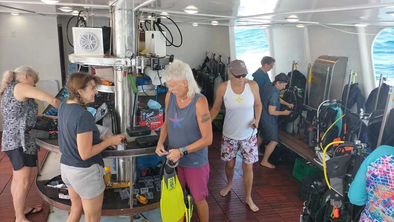 Guests on the dive deck
