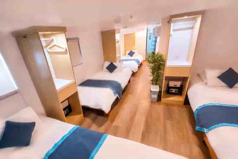 Thumbnail 25 Thumbnail 25