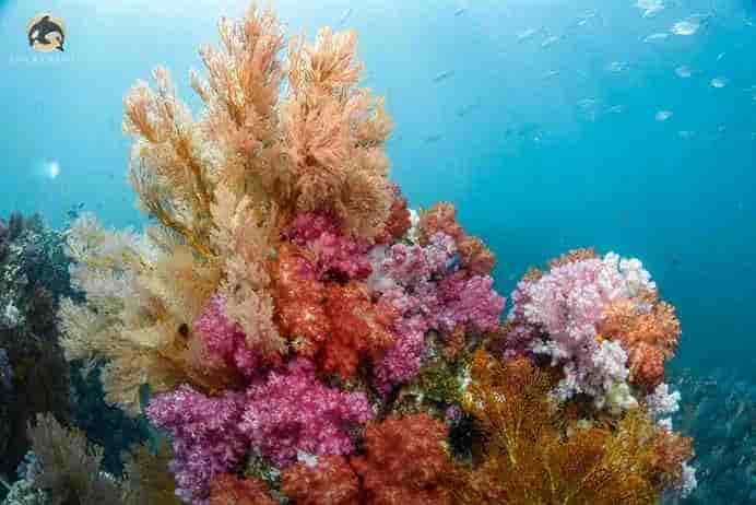 Thumbnail 2 Thumbnail 2