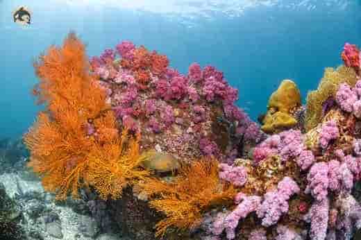 Thumbnail 3 Thumbnail 3