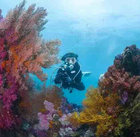 Thumbnail 4 Thumbnail 4