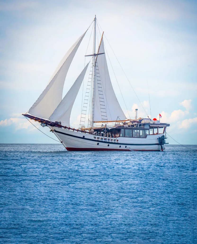 Wisesa Liveaboard Cruising Raja Ampat - image Wisesa Liveaboard Cruising Raja Ampat - image