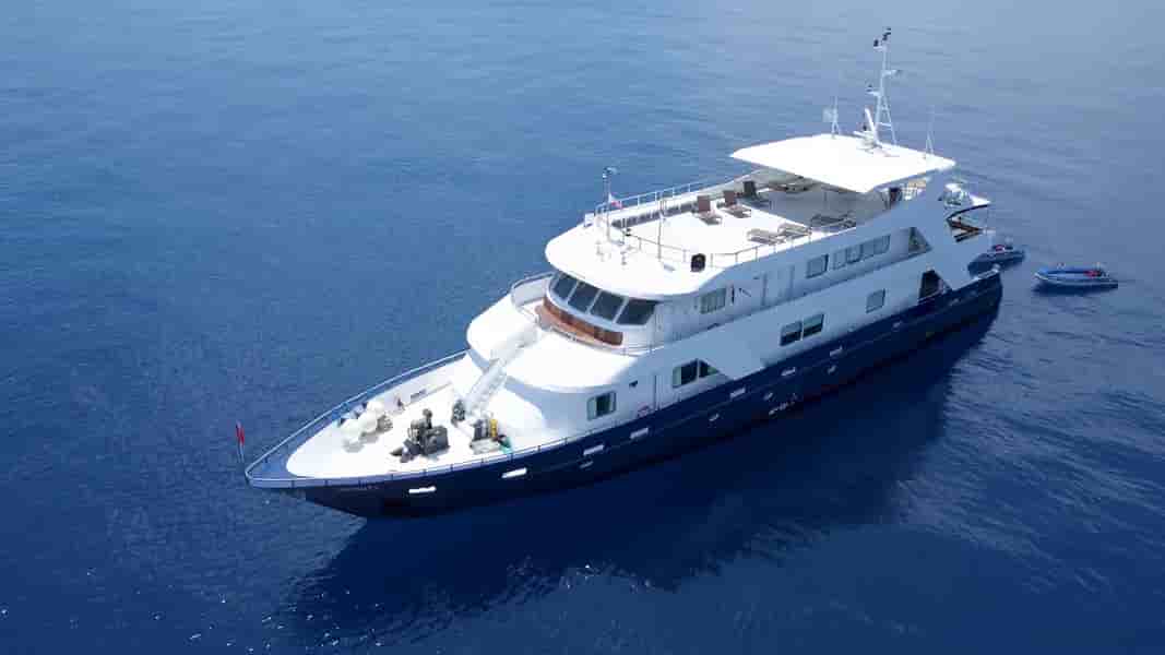 Thumbnail 2 Thumbnail 2