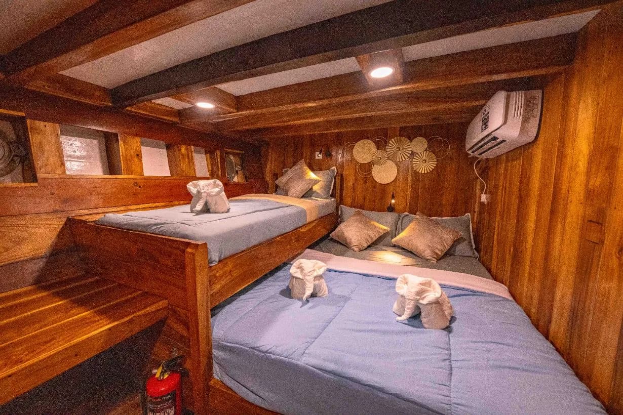 Triple accommodation