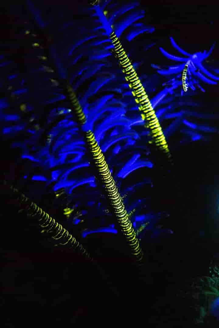 Thumbnail 2 Thumbnail 2