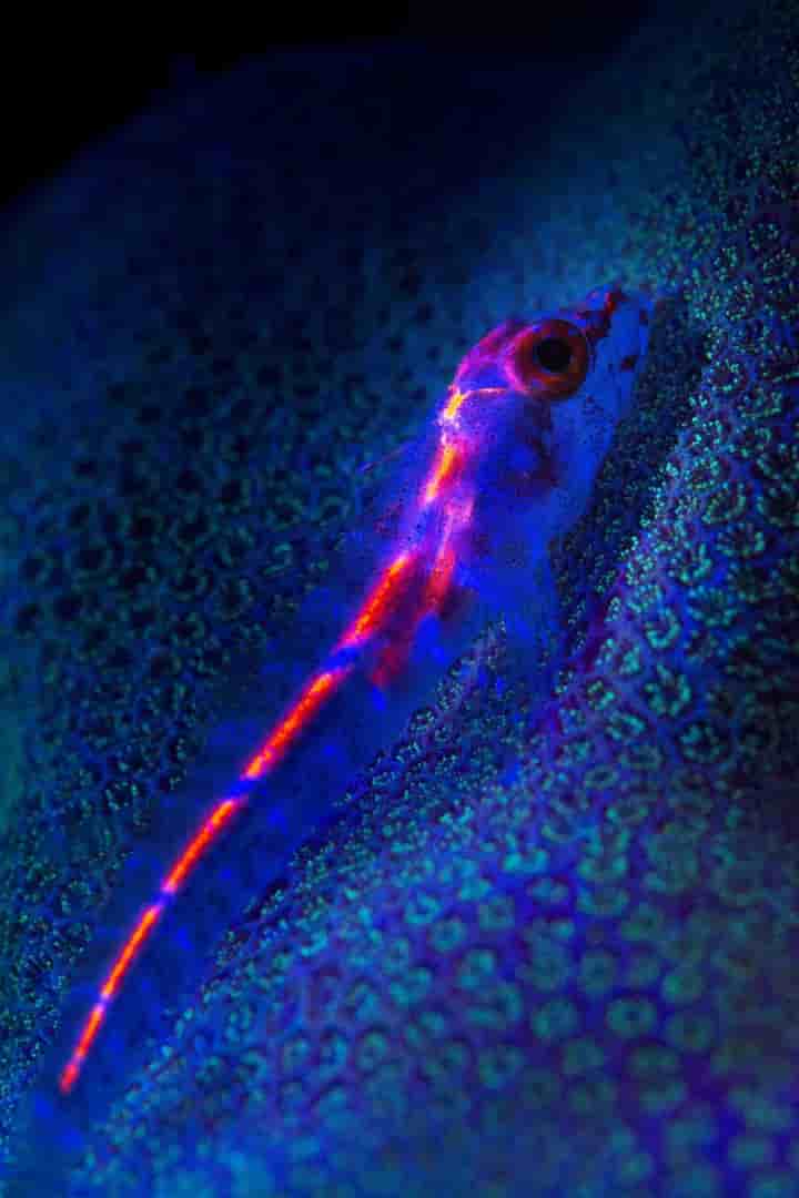 Thumbnail 4 Thumbnail 4