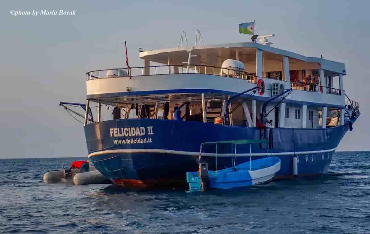 Thumbnail 2 Thumbnail 2