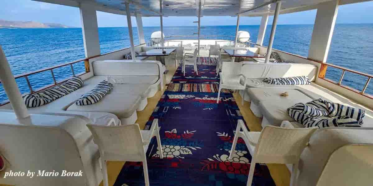 Thumbnail 4 Thumbnail 4