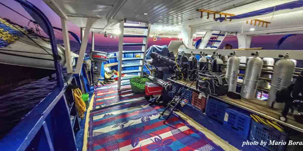 Thumbnail 5 Thumbnail 5