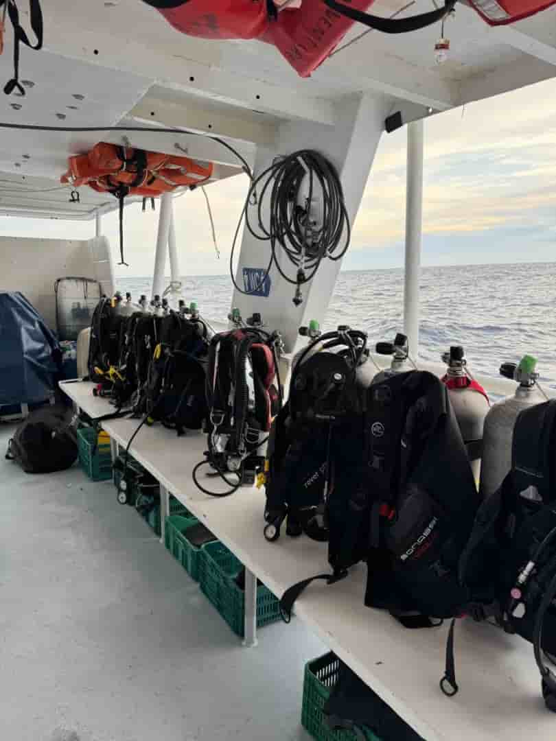 Thumbnail 6 Thumbnail 6