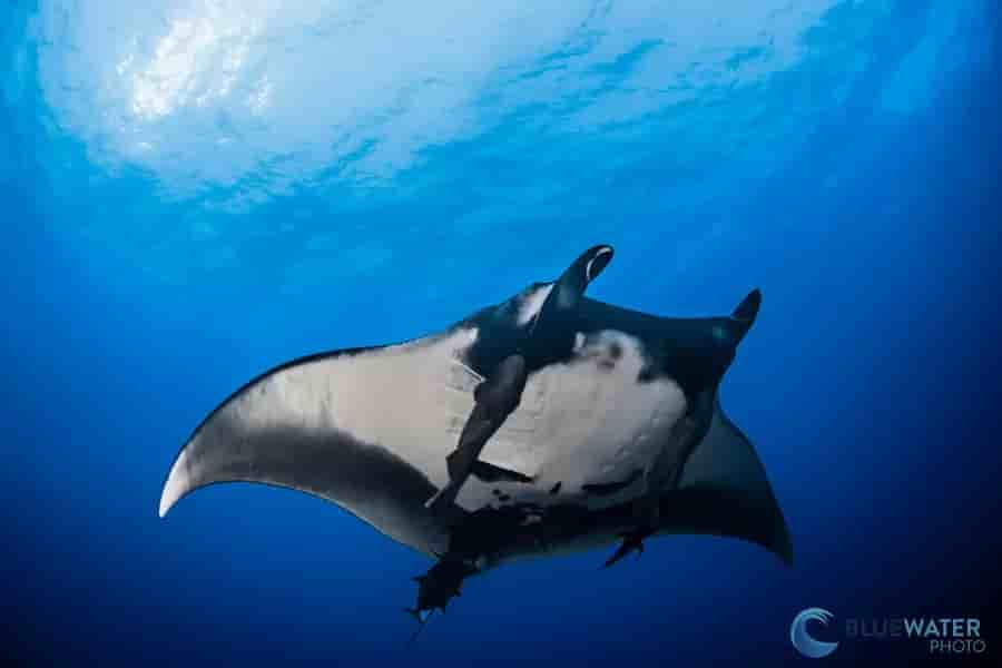 Thumbnail 10 Thumbnail 10