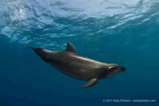 Thumbnail 11 Thumbnail 11