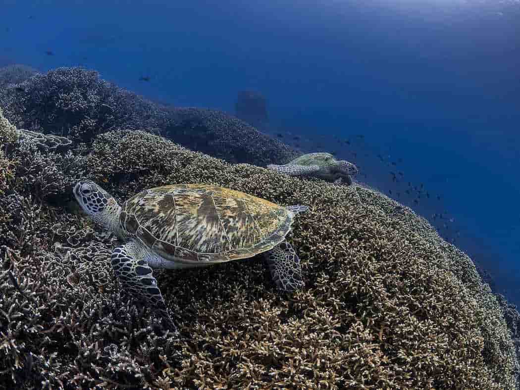 Thumbnail 2 Thumbnail 2