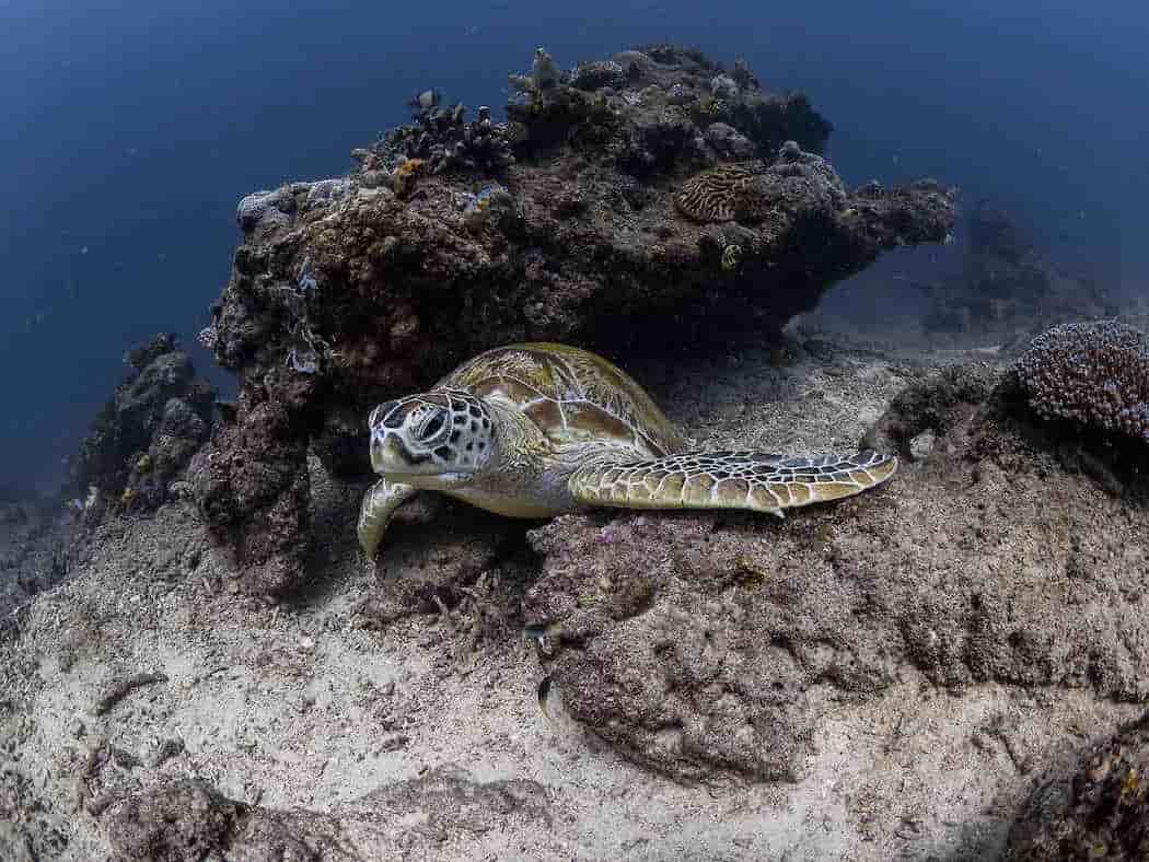 Thumbnail 3 Thumbnail 3