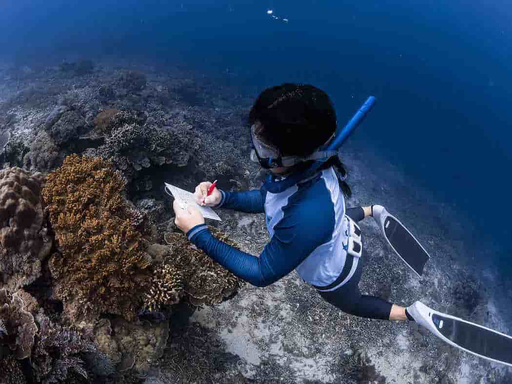 Thumbnail 4 Thumbnail 4