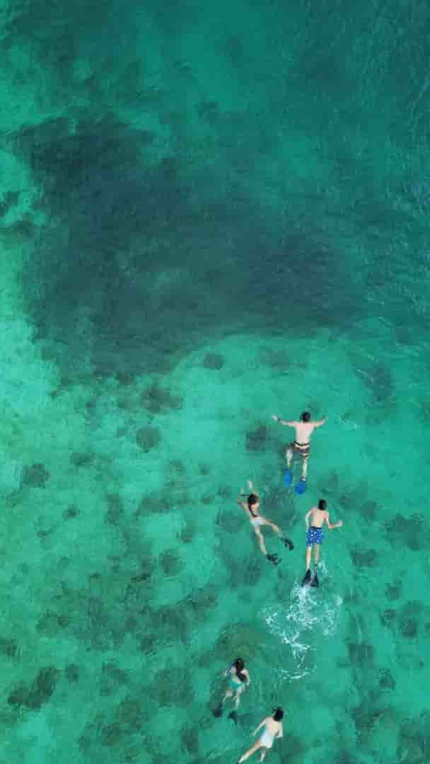 Thumbnail 5 Thumbnail 5