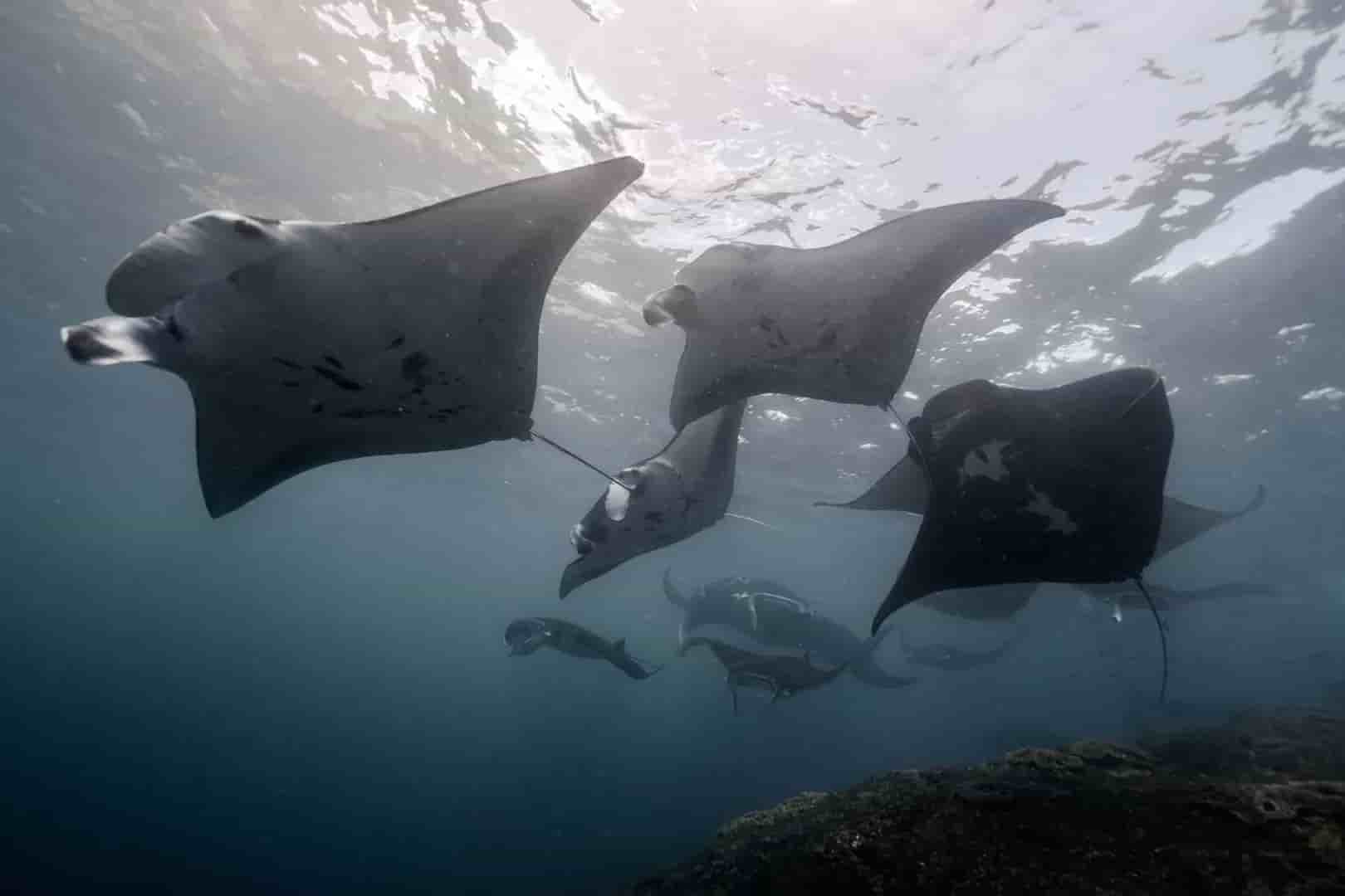 Thumbnail 1 Thumbnail 1