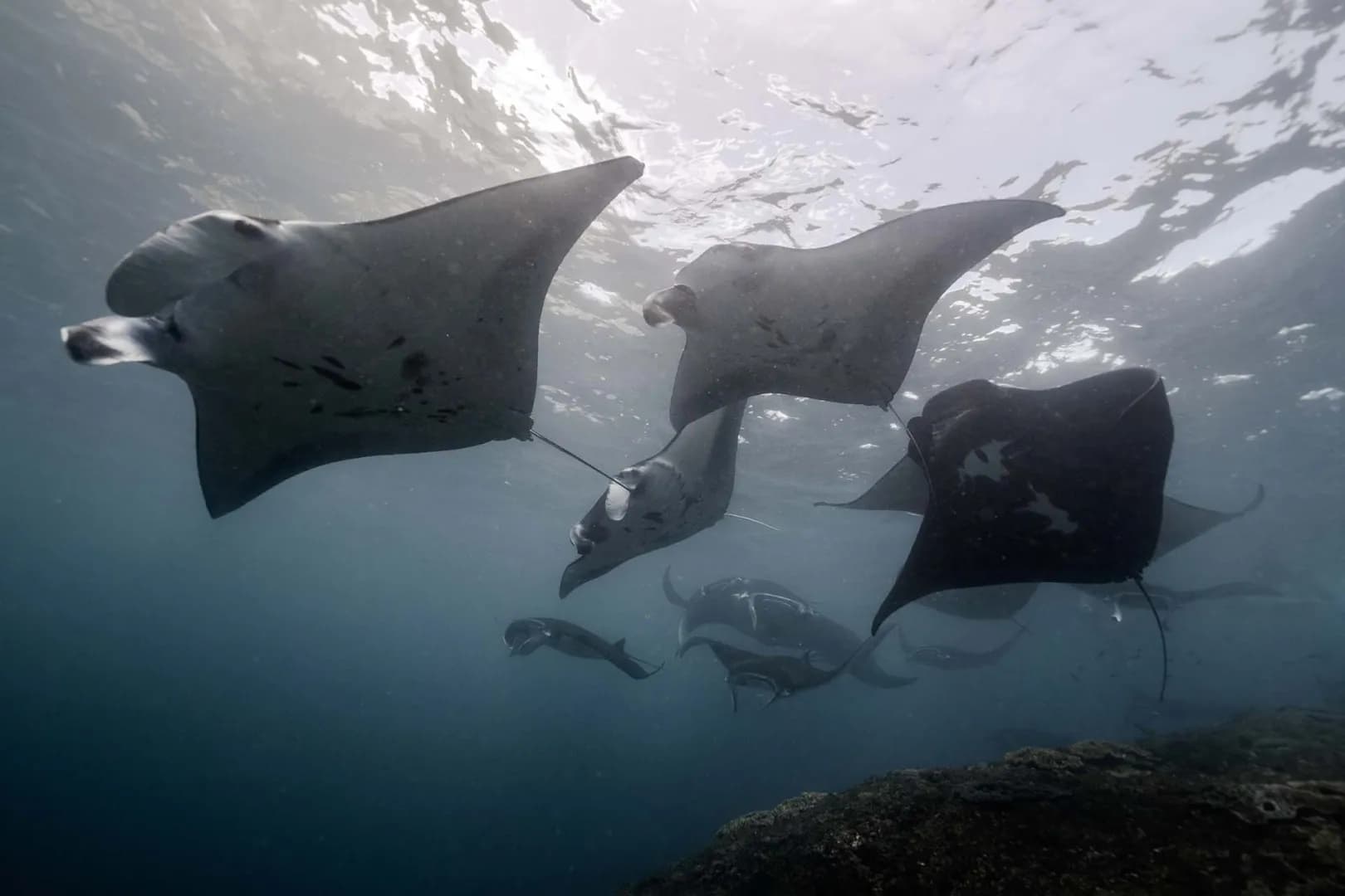 Mischief - image Mischief - image