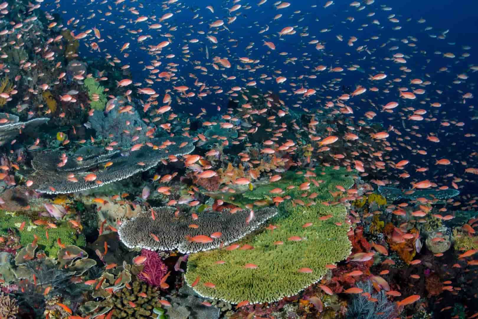 Thumbnail 3 Thumbnail 3