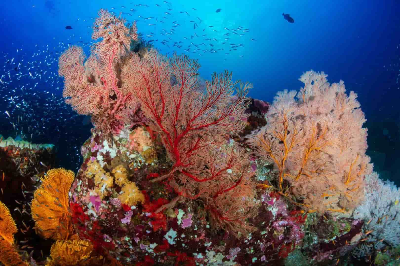 Thumbnail 5 Thumbnail 5