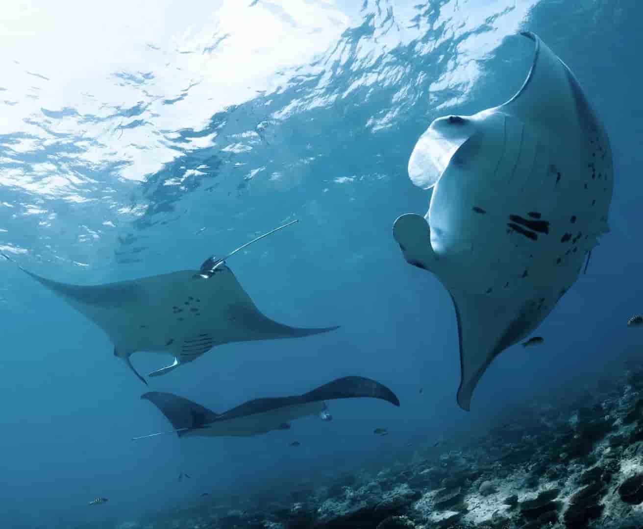 Thumbnail 6 Thumbnail 6