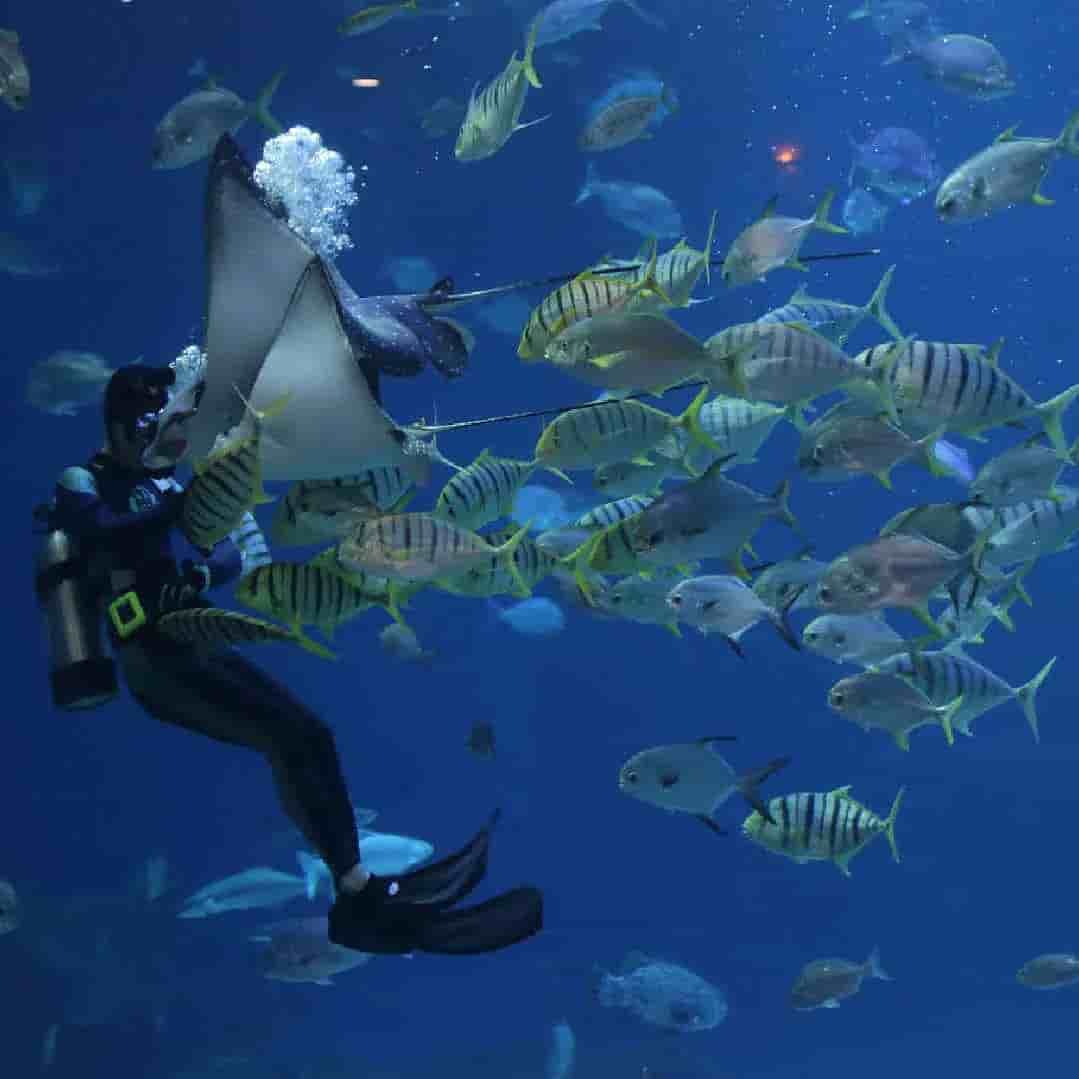 Thumbnail 1 Thumbnail 1