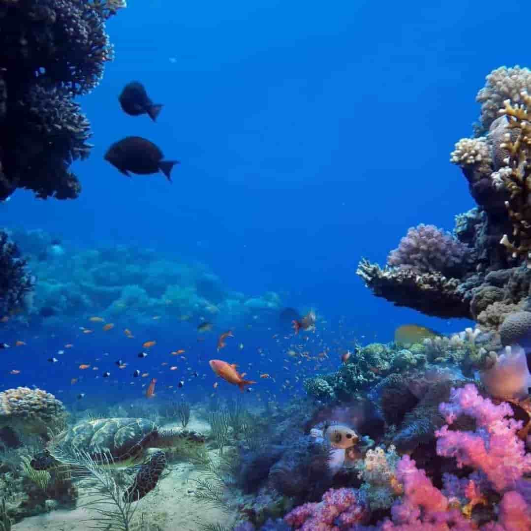 Thumbnail 2 Thumbnail 2