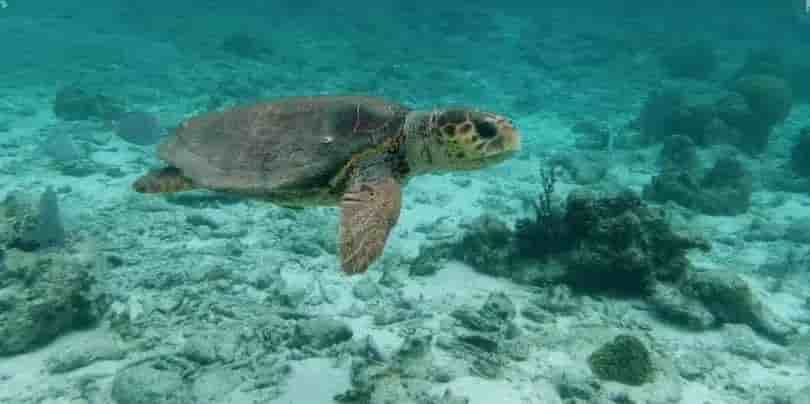 Thumbnail 4 Thumbnail 4