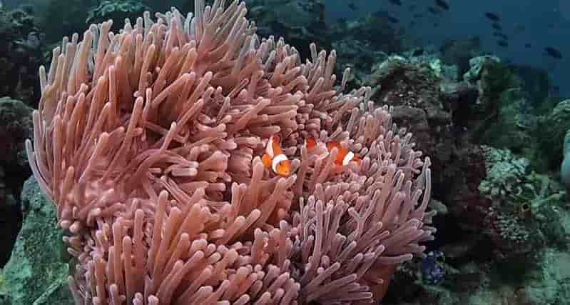 Thumbnail 5 Thumbnail 5