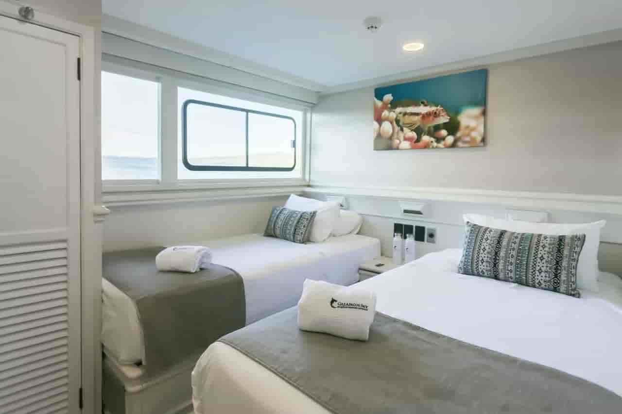 Thumbnail 9 Thumbnail 9