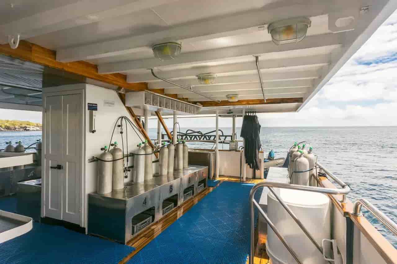 Thumbnail 11 Thumbnail 11