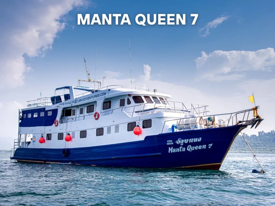 Manta Queen 7 - image Manta Queen 7 - image