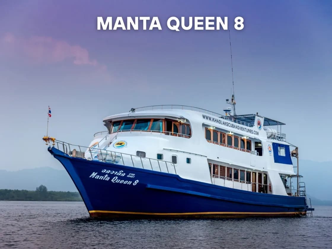 Manta Queen 8 - image Manta Queen 8 - image