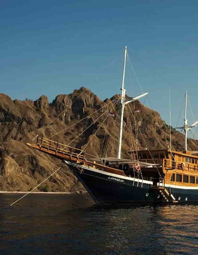 Thumbnail 1 Thumbnail 1