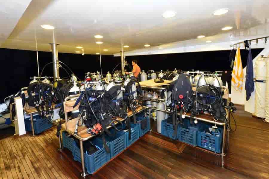 Thumbnail 11 Thumbnail 11